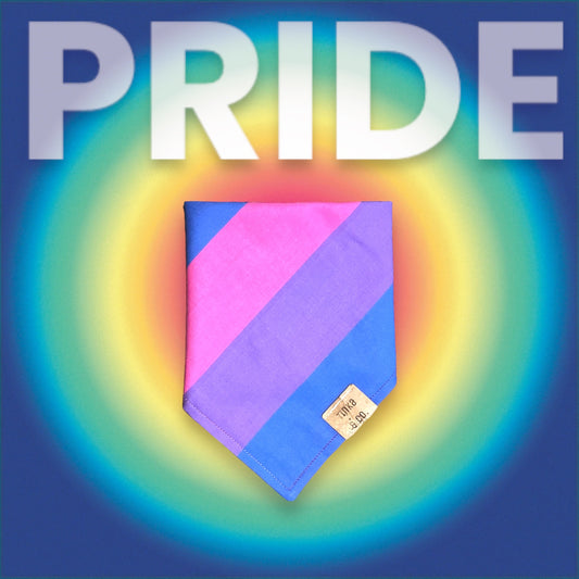 Bysexual Pride Flag | Dog Bandana