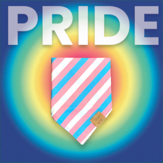 Transgender Pride Flag | Dog Bandana