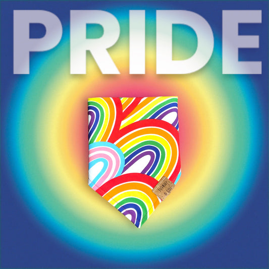 Rainbow Pride | Dog Bandana