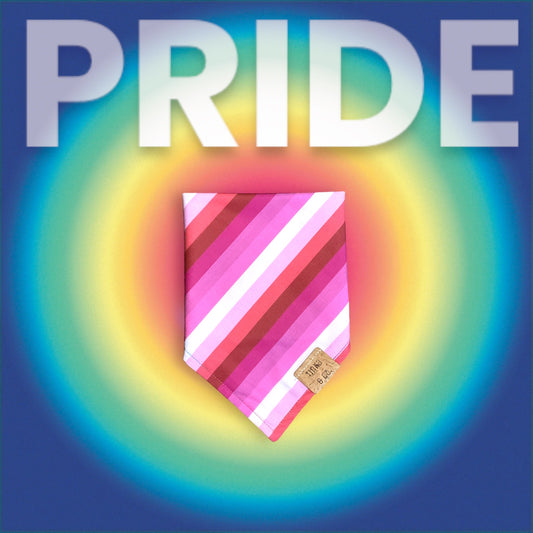 Lesbian Pride Flag | Dog Bandana