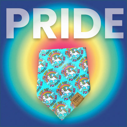 Super GAY | Dog Bandana