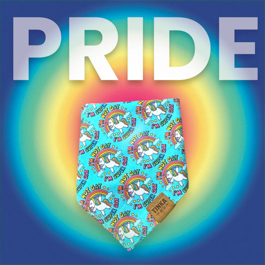 Super GAY | Dog Bandana