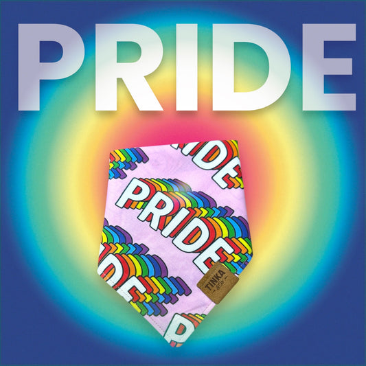Pink Rainbow Pride | Dog Bandana