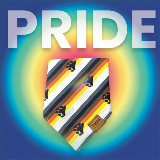 Bear Pride Flag | Dog Bandana