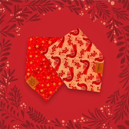 Limited Edition - Winterberry Robin | Reversible Dog Bandana