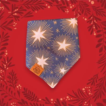 Limited Edition - Twinkle & Tails | Reversible Dog Bandana