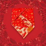 Limited Edition  Winterberry Robin Dog Bandana — Handmade in Australia