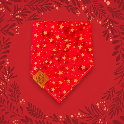 Limited Edition - Winterberry Robin | Reversible Dog Bandana
