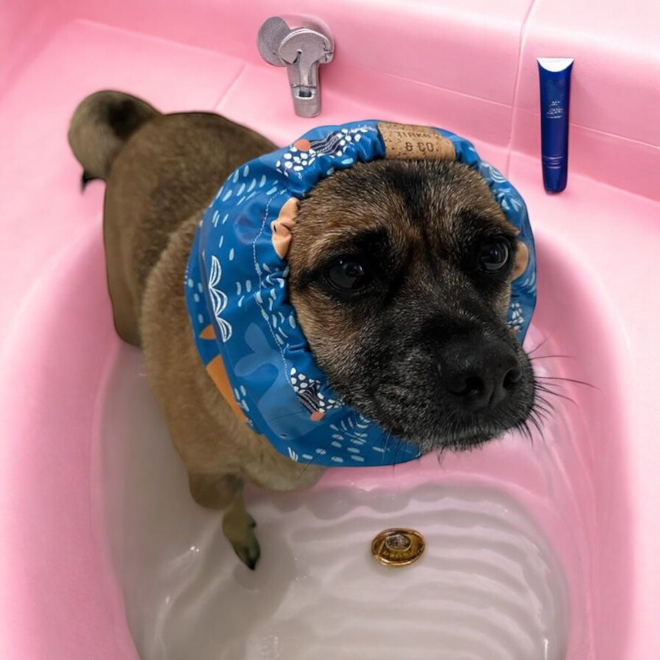 Bath Time | Snood