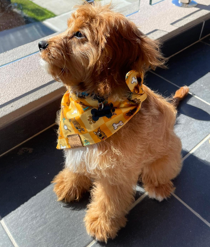 Scooby Doo | Dog Bandana