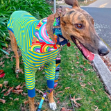 Rainbow Pride Dog Bandana — Handmade in Australia