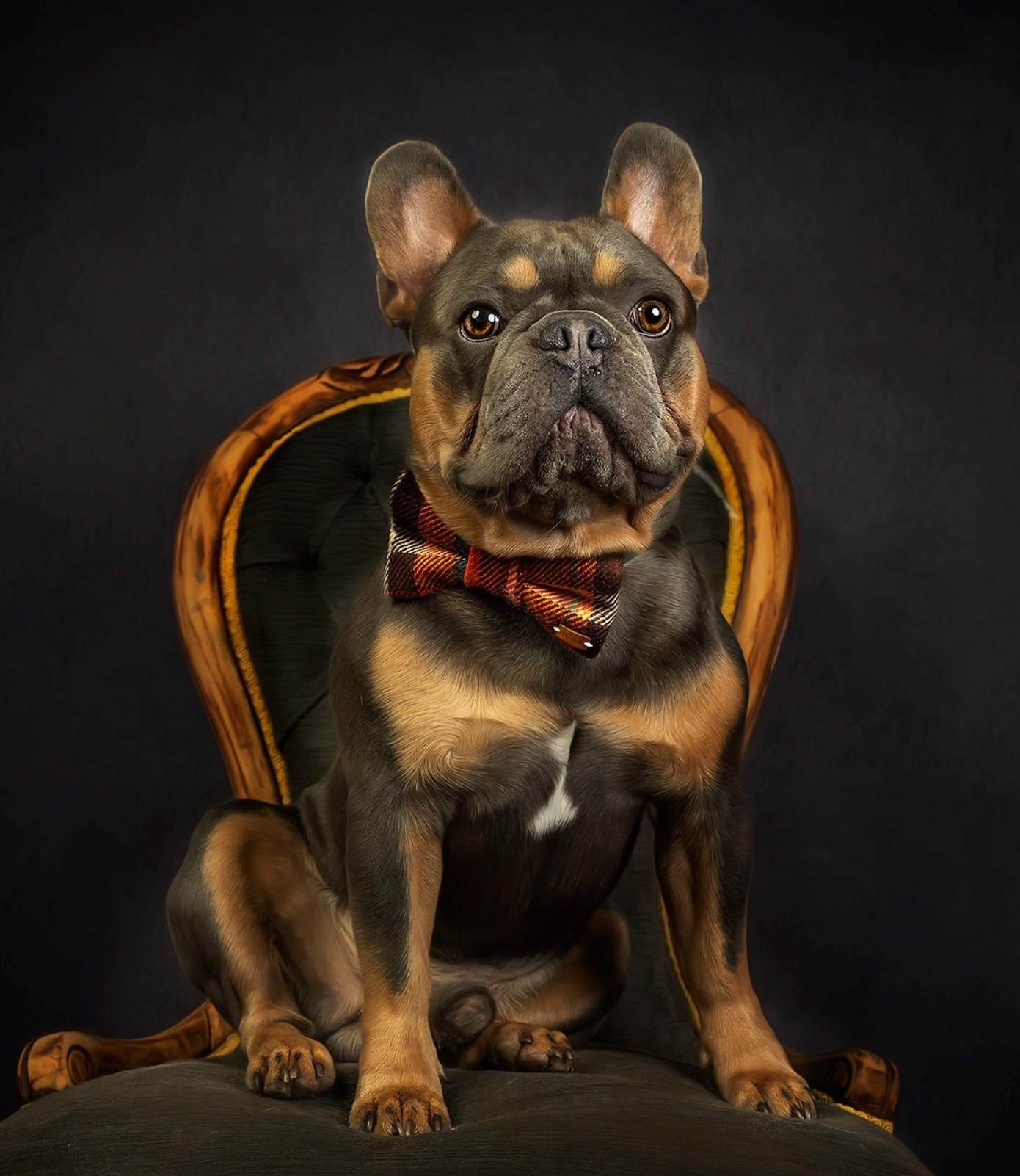 Marmalade Wool Plaid - Premium Dog Bow-Ties