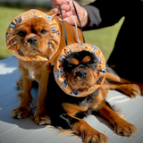 Lady & The Tramp Cotton Dog Snood — Handmade in Australia