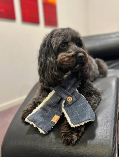 Winter | Limited Edition - Dog Scarf