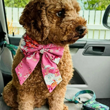 Sailor Print Edit Dog Bow Tie — Handmade in Australia