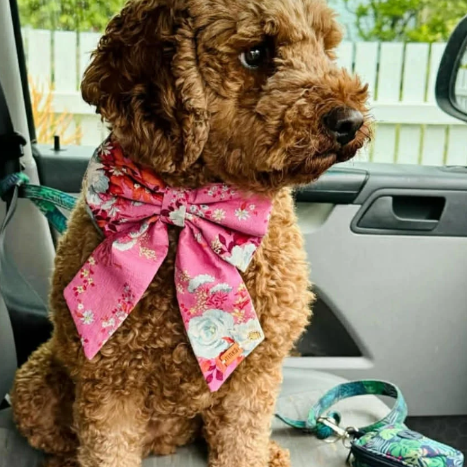 Sailor Print Edit Dog Bow Tie — Handmade in Australia