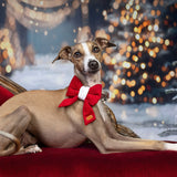 Sailor Christmas Print Edit Dog Bow Tie — Handmade in Australia