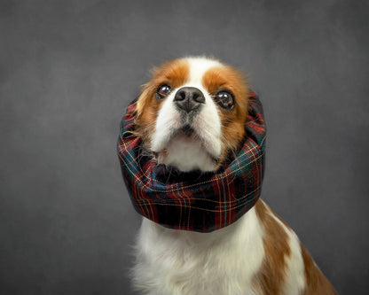 Dapper | Snood