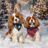 Tinka & Co | E-Gift Card
