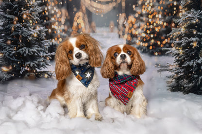 Limited Edition - Twinkle & Tails | Reversible Dog Bandana