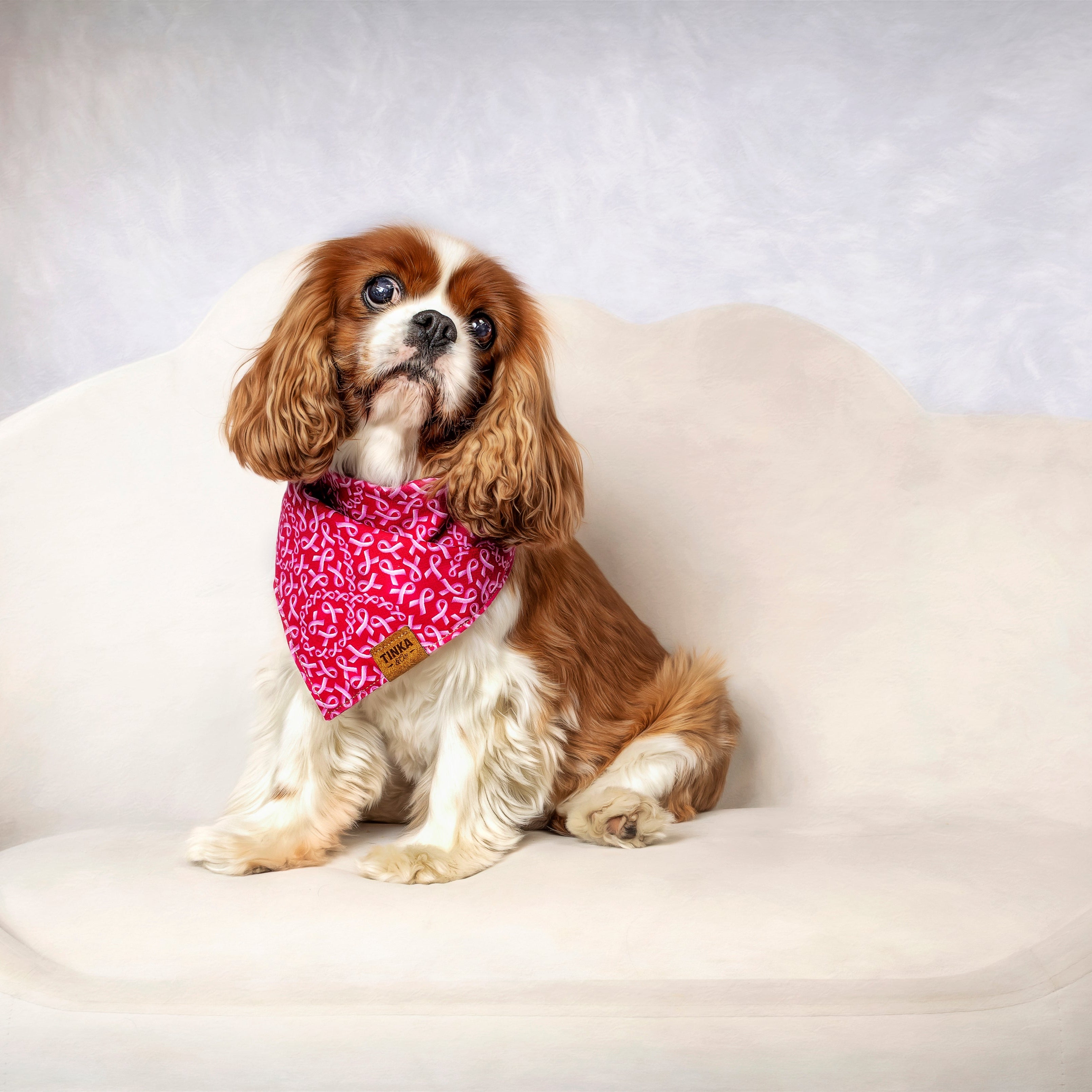 Pink Power Dog Bandana — Handmade in Australia