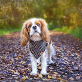 Yorkshire Houndstooth Dog Bandana — Handmade in Australia