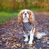 Yorkshire Houndstooth Dog Bandana — Handmade in Australia