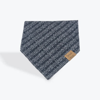 Touch Down - Dog Bandana